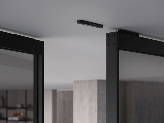 raumplus Pivottür S1200